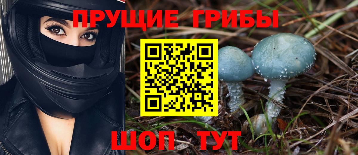 Костомукша  Галлюциногенные грибы ЛСД  Вход с VPN 